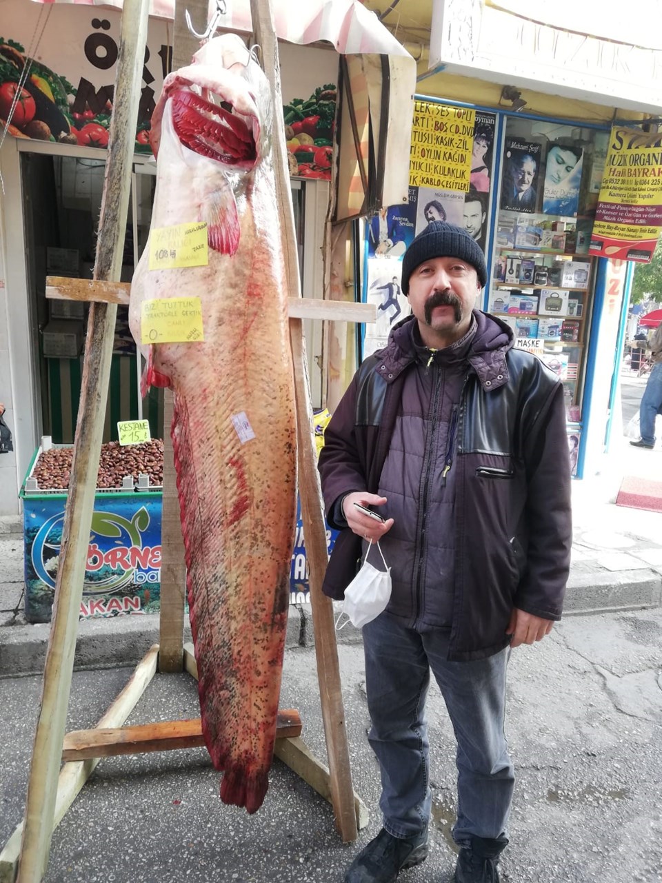 108 kiloluk yayın balığı kilosu 50 liradan satışta - 1