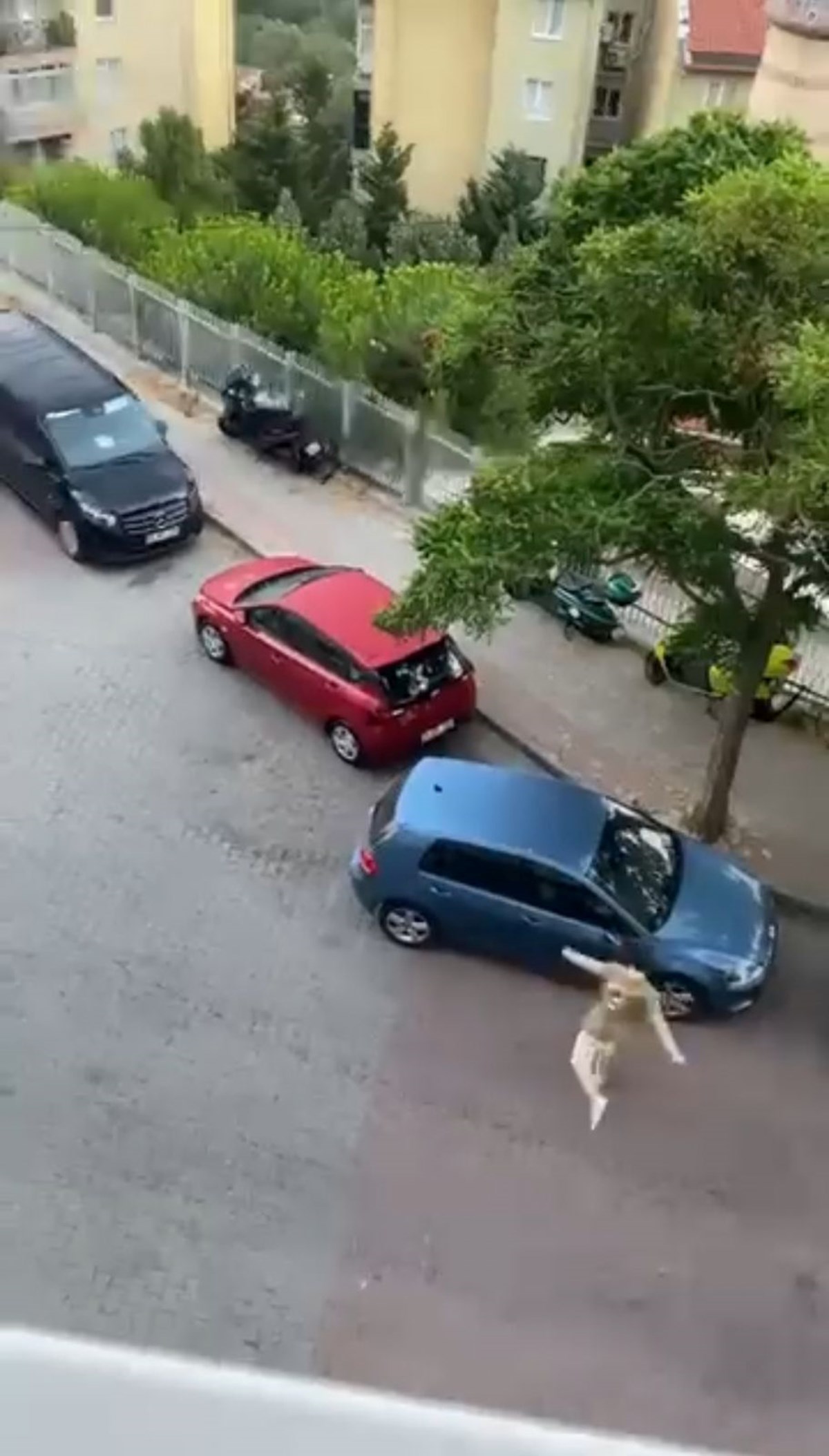 H14YFxK-wEiAZefbOf0xuQ.jpg