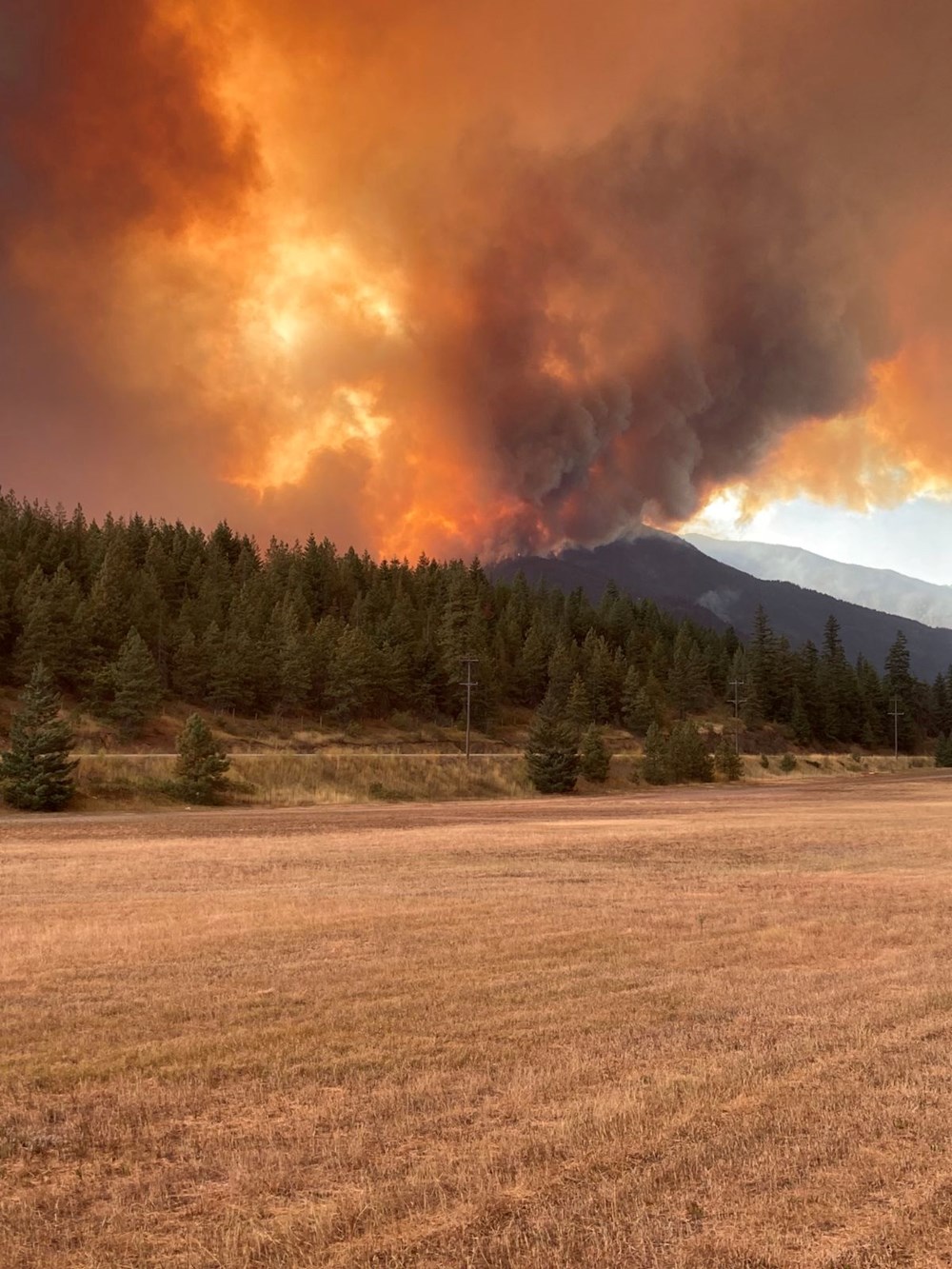 Kanada'da orman yangınları: Ankara büyüklüğünde bir alan kül oldu - 4