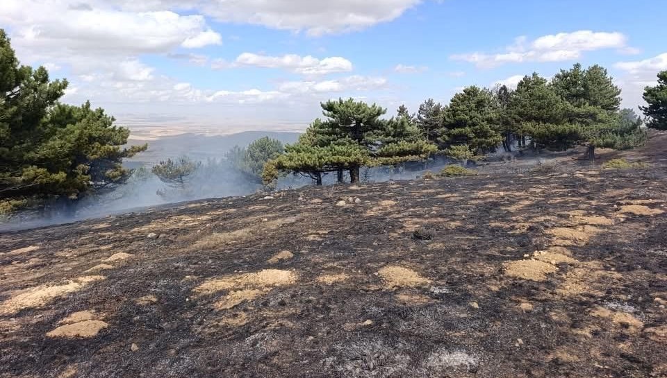 Konya'daki orman yangını kontrol altında