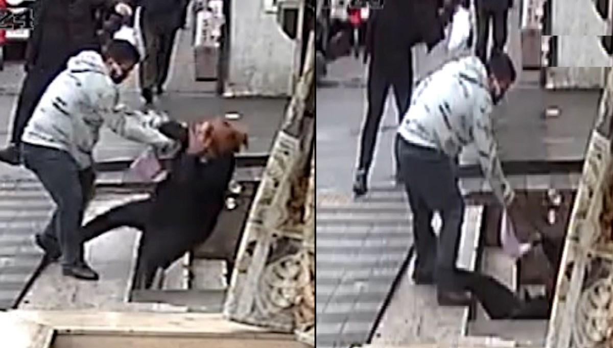 Kıskanç koca dehşeti: Yumrukladığı eşi merdivenlerden yuvarlandı