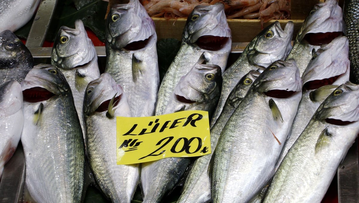 Çanakkale'de lüfere lodos zammı: Fiyatı 200 liraya çıktı