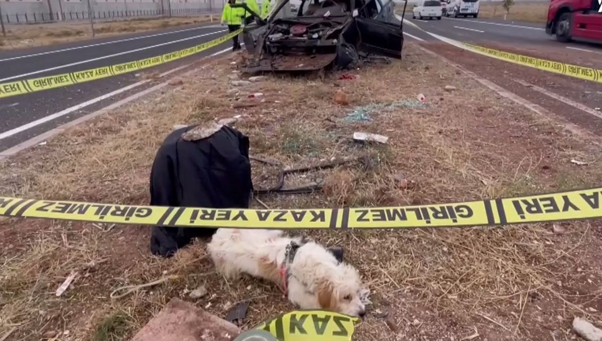 Sahibi ölünce kaza yerinden ayrılmadı