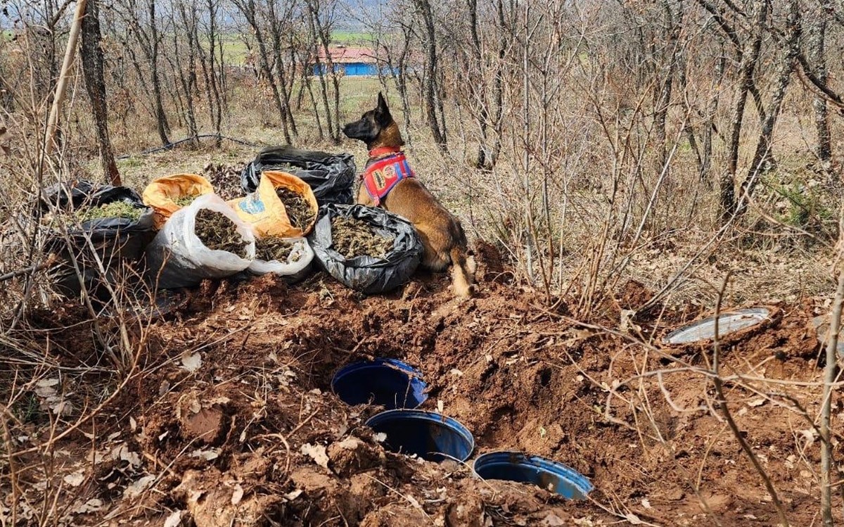 Diyarbakır'da toprağa gömülü 43 kilogram esrar ele geçirildi