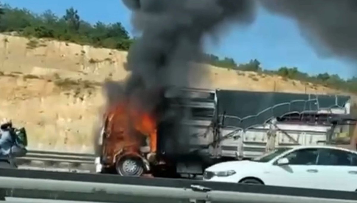 Pendik TEM Otoyolu'nda sebze yüklü kamyon alev alev yandı