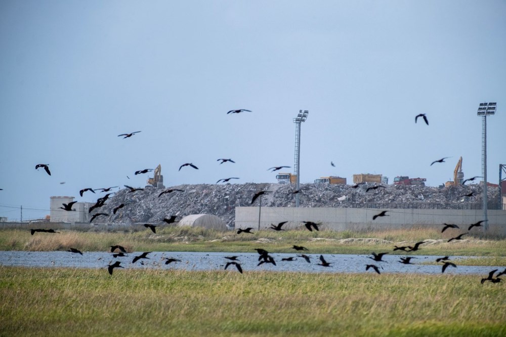 Türkiye’nin kuş cenneti Samandağ'a molozlar dökülüyor - 6