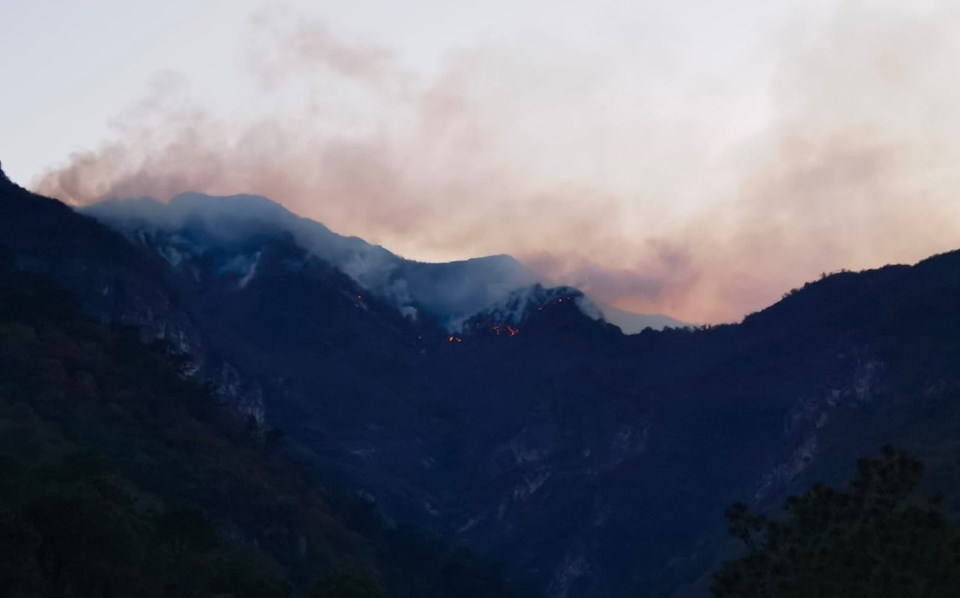 Meksika’da son 24 saatte 39 orman yangını - 1