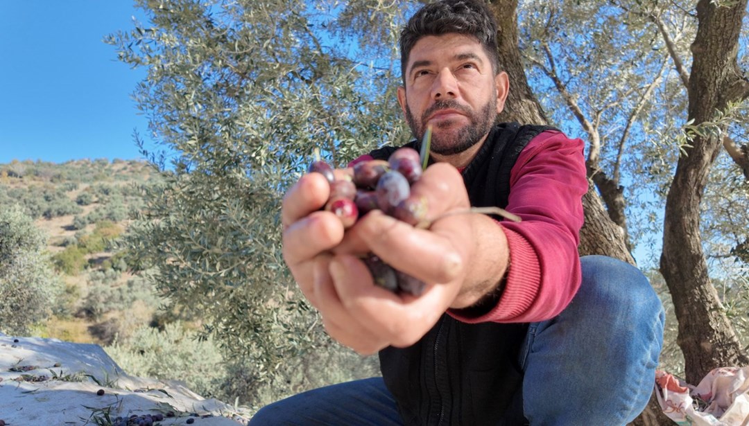 Nakil iki koluyla hasat yapıyor: "Her işimi kendi başıma yapabiliyorum"