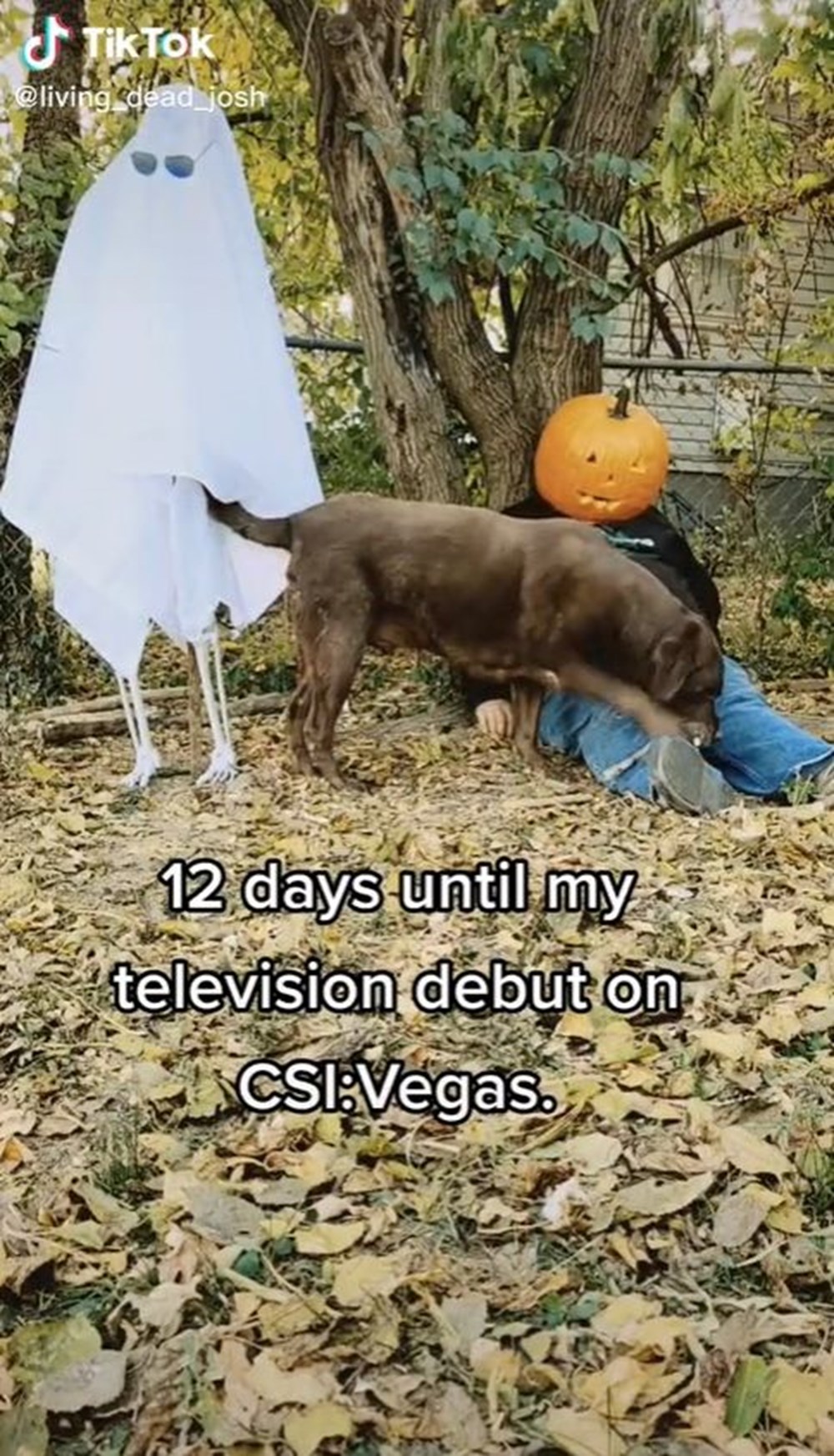 TikTok'ta ölü taklidi yapan adam CSI: Vegas dizisinde ceset rolü kaptı - 6