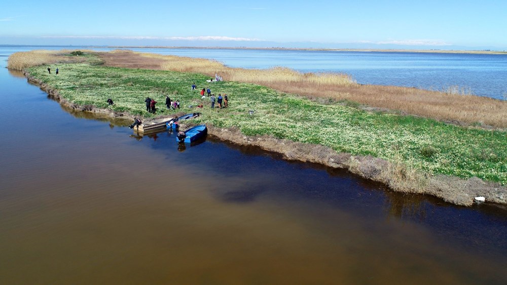 Hidden paradise discovered 3 years ago in Adana: Narcissus Island - 8