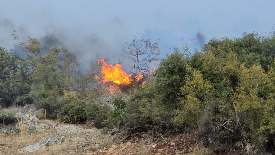 Adana Kozan'da yangın: 3 saatin ardından kontrol altına alındı - 4