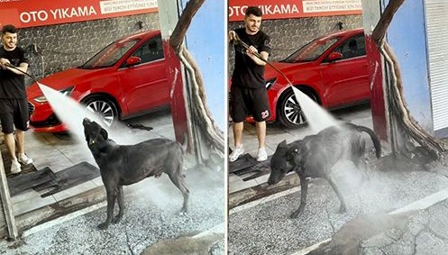 İki saatte bir oto yıkamacıda kendini yıkatıyor!