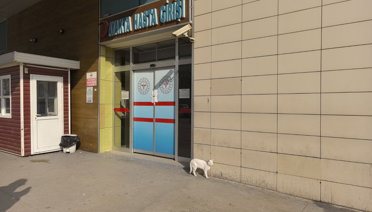 Bacağı kırılan kedi hastanenin acil servisine geldi Bacağı kırılan kedi hastanenin acil servisine geldi