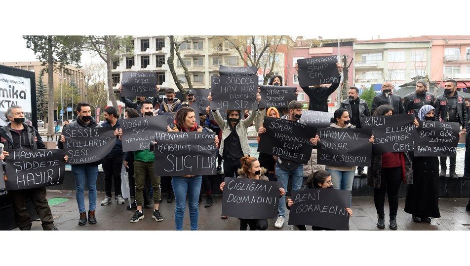 Uşak'ta hayvanseverlerden sessiz protesto