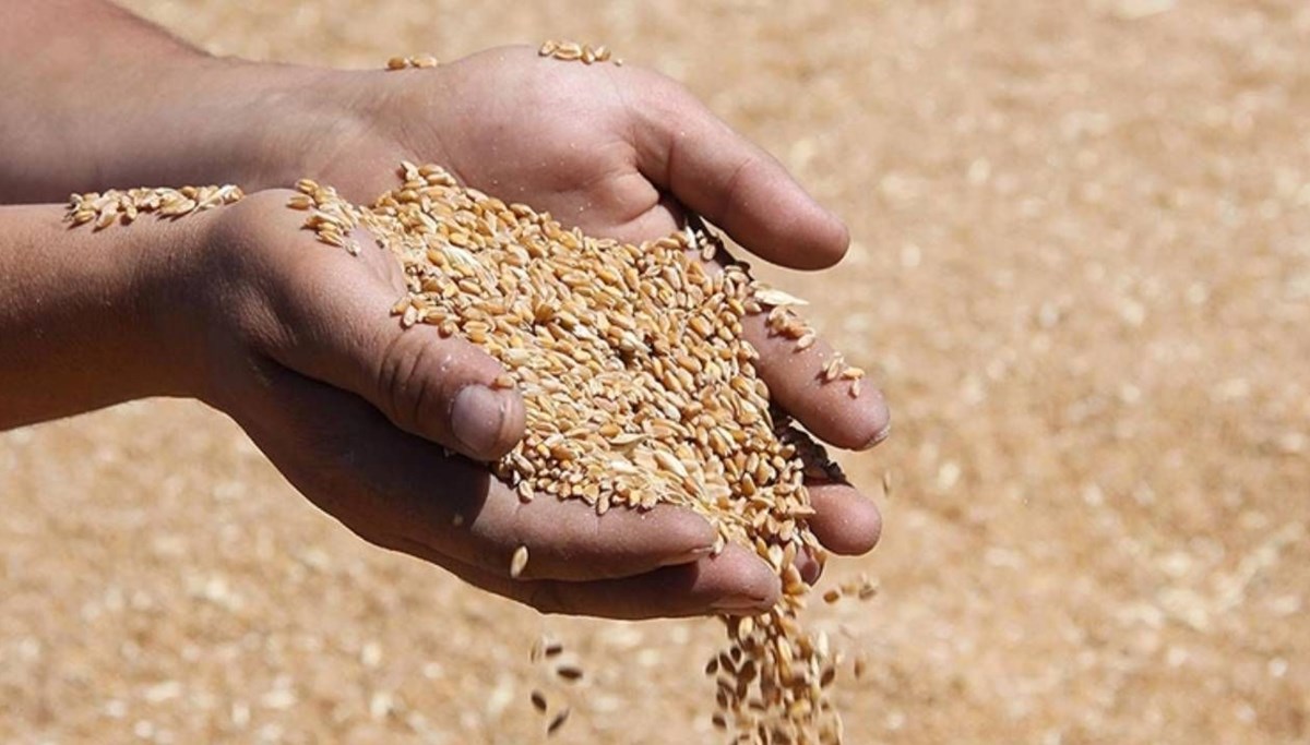 Hububat alım bedelleri hesaplarda