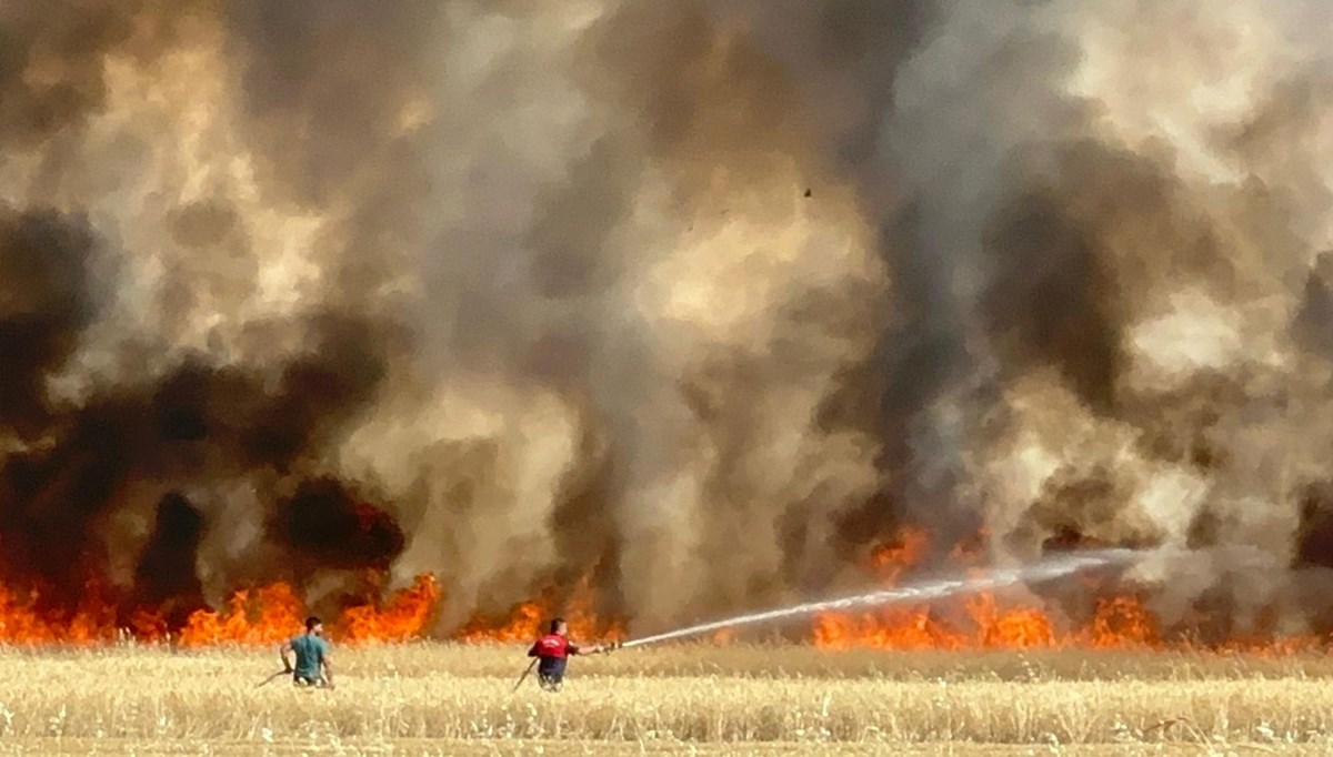 Elazığ'da arazi yangını