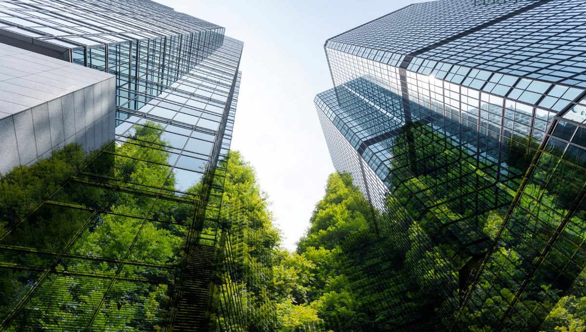 Avrupa'nın dev yeşil alan kaybı