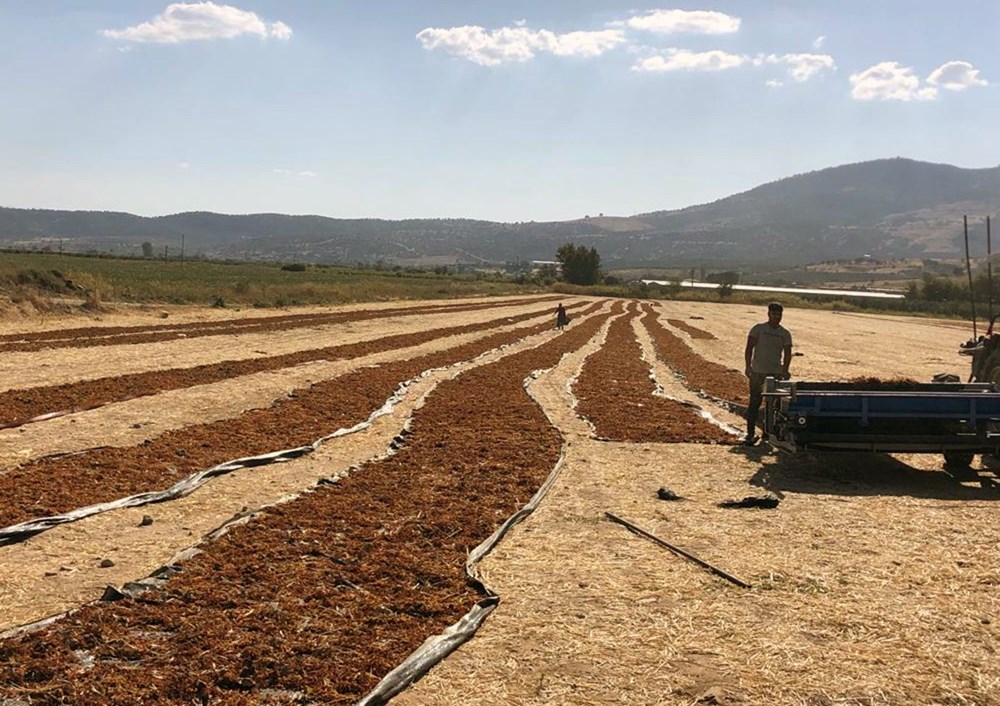 'Kuş Cenneti'nde bir damla bile su kalmadı! - 8