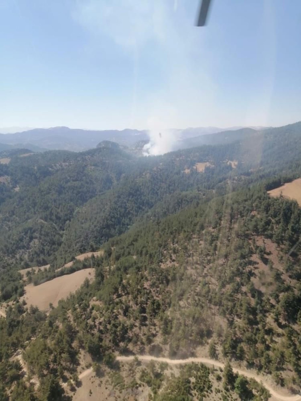 Edirne, Adana ve Kahramanmaraş’ta orman yangını (Havadan ve karadanmüdahale ediliyor) - 5