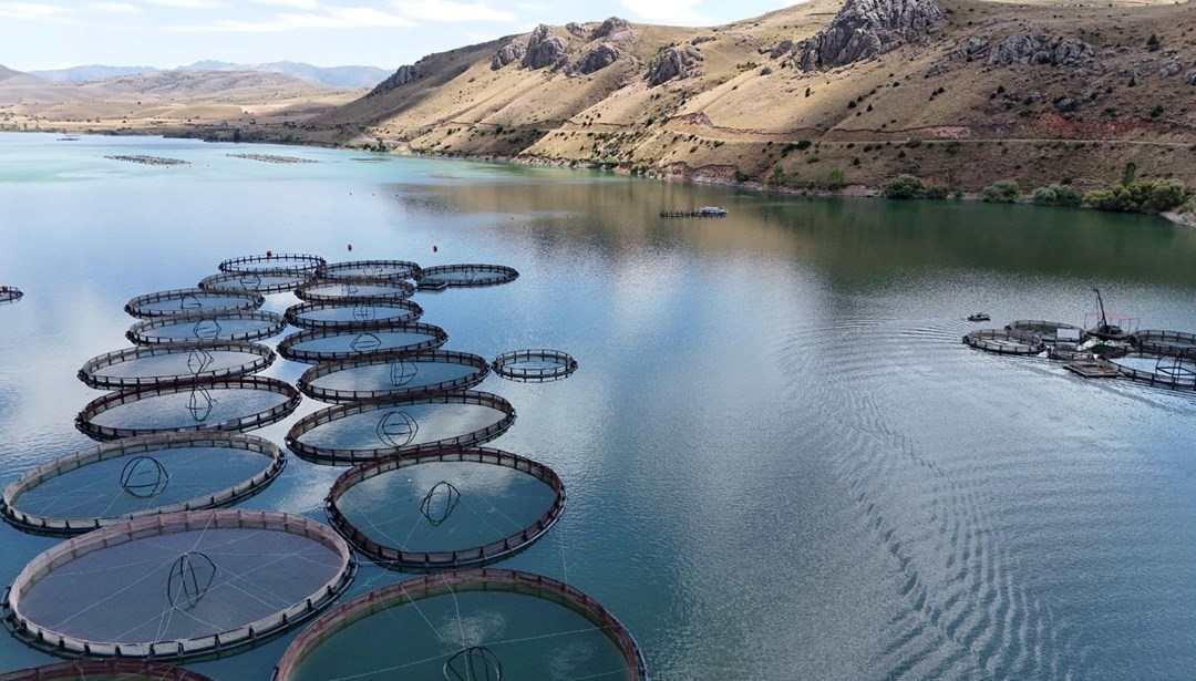 Erzincan'dan dünyaya satılıyor! Yıllık üretim kapasitesi 2 bin 800 tonu geçti