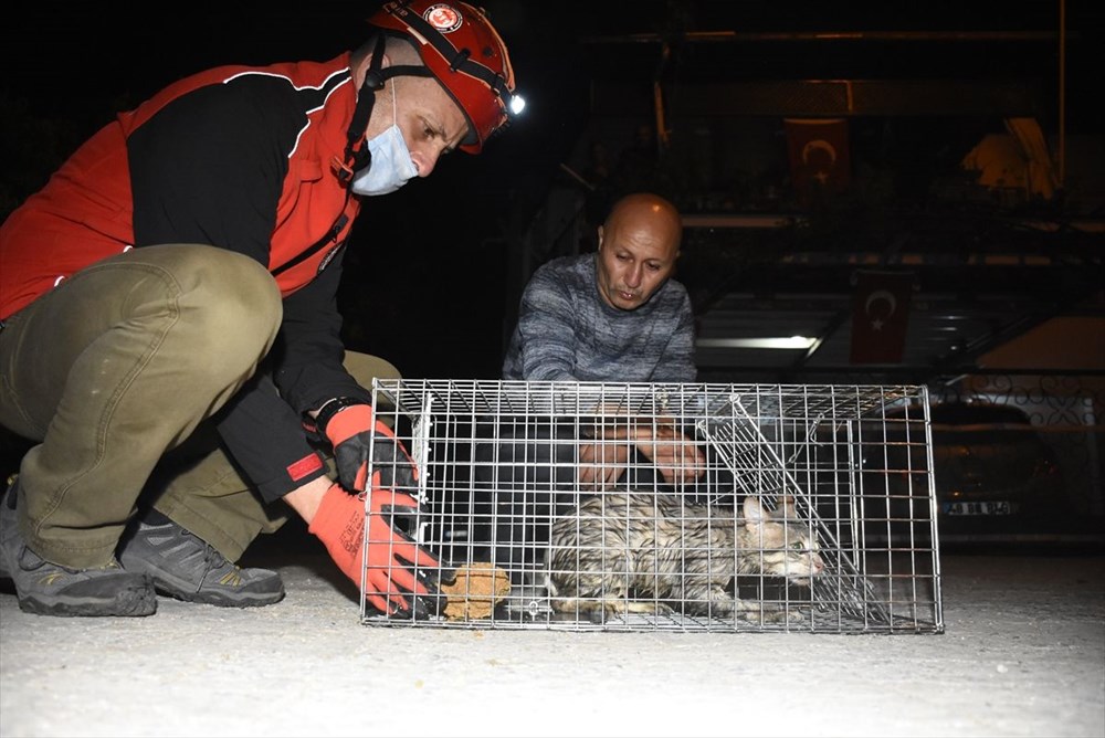 Bodrum�da kuyuya düşen kedi, ekiplerin kullandığı şişme botla
