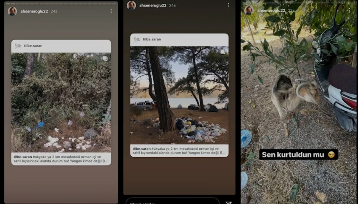 Sanatçılardan yangına karşı destek mesajı