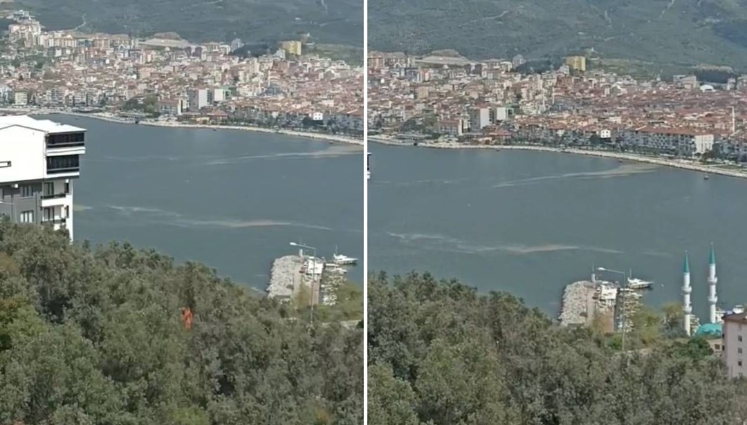 Dört yıl aradan sonra müsilaj kabusu geri döndü