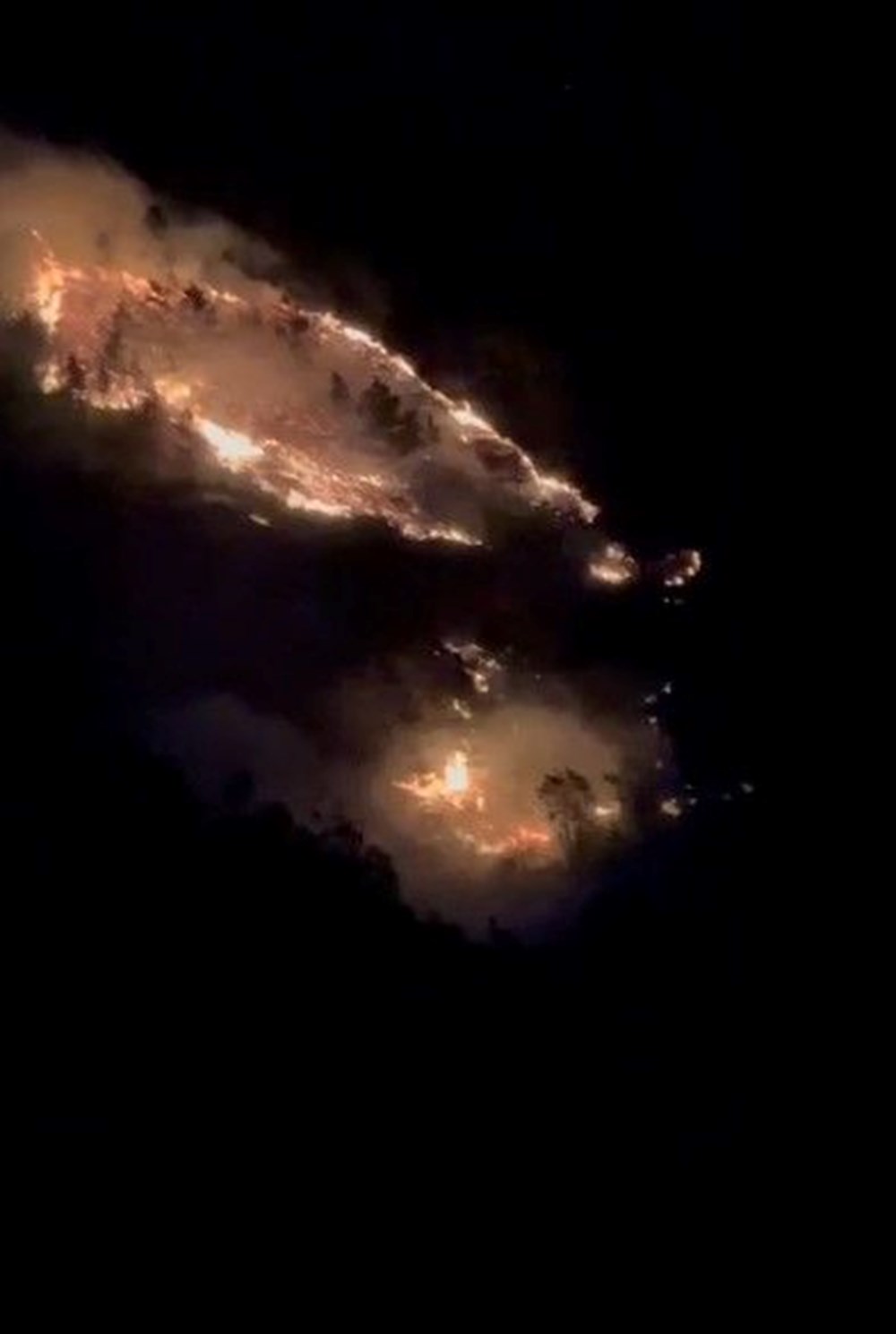 Trabzon'un birçok noktasında orman yangını - 2