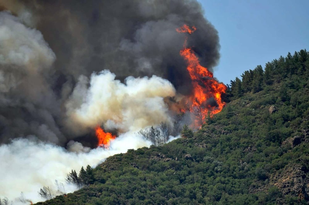 Marmaris'te orman yangını: Plajdakiler korkuyla izledi - 5