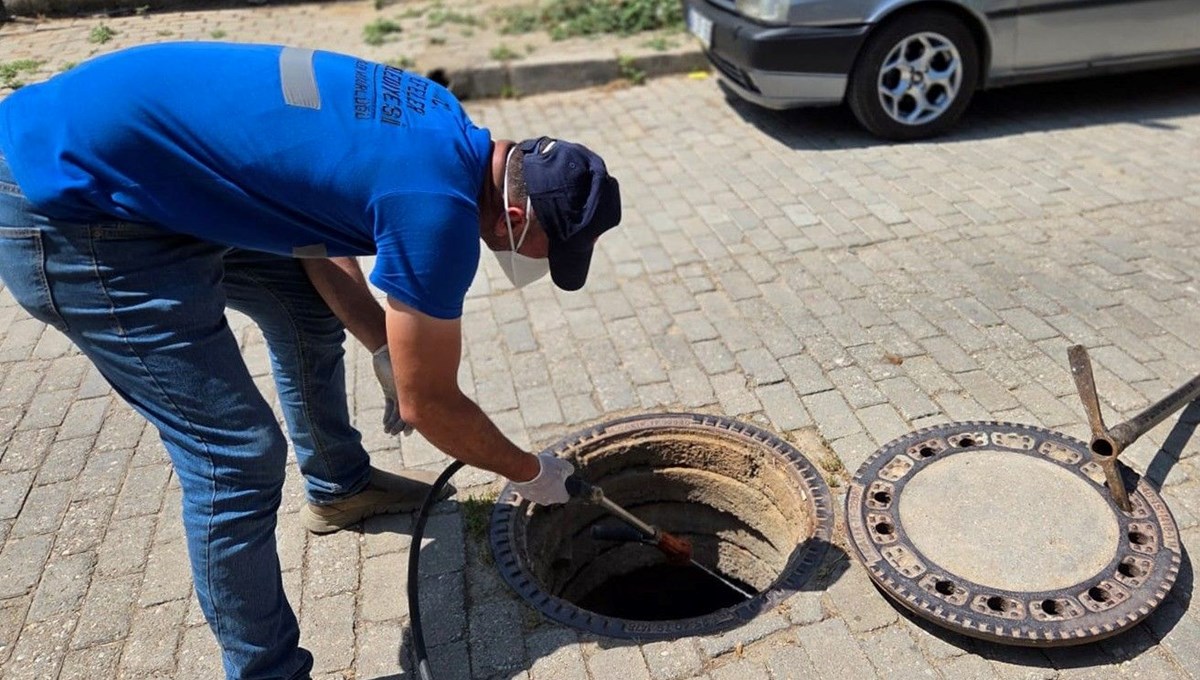 Şehri haşereler bastı, belediye harekete geçti