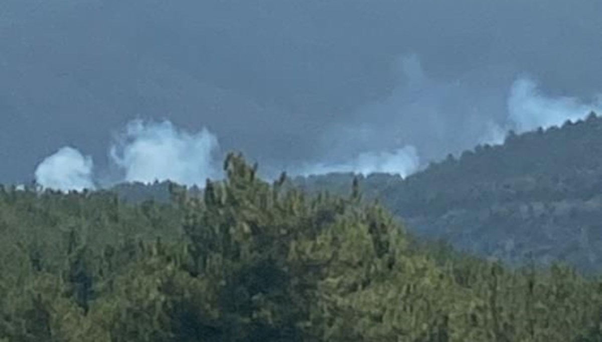 Bolu, Adana, Antalya ve Manisa’da orman yangını Bolu, Adana, Antalya ve Manisa’da orman yangını