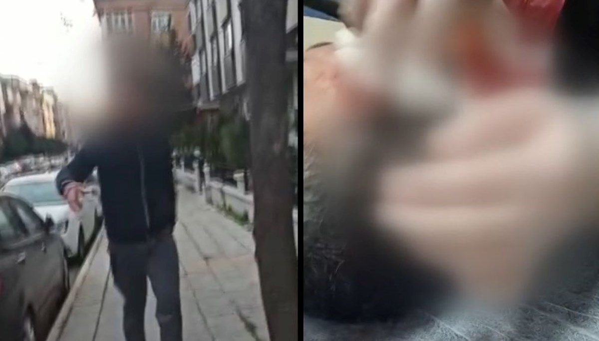 Tartıştığı avukatı beyzbol sopasıyla dövdü