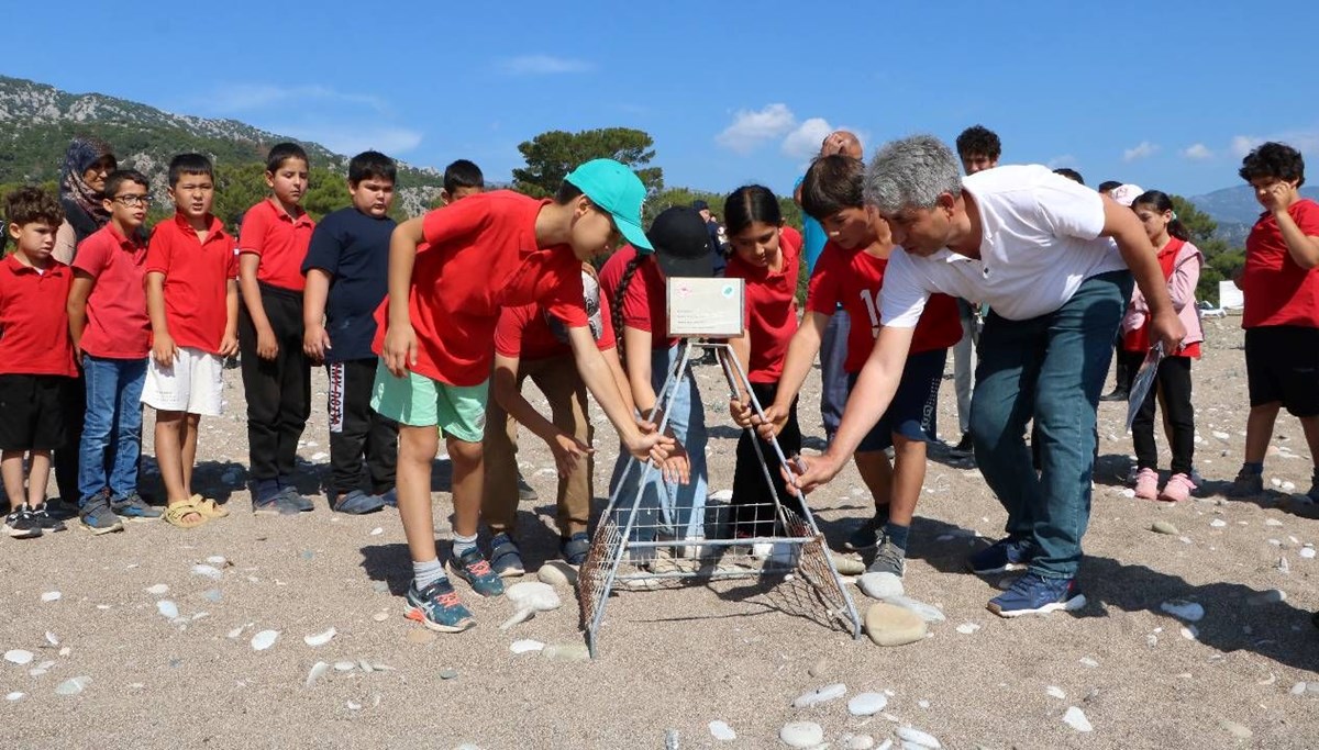 Caretta caretta yasakları başladı