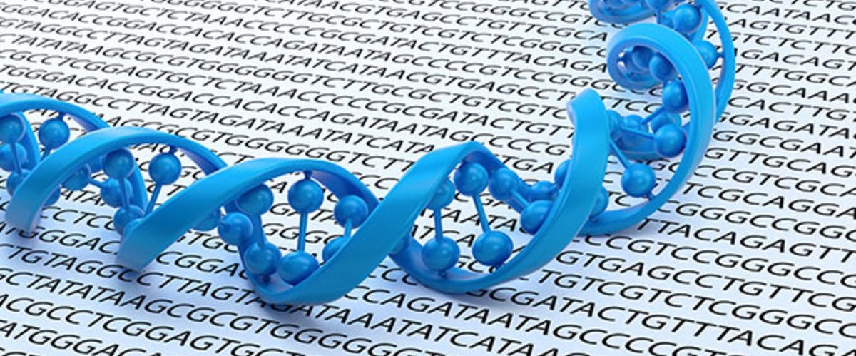 Днк фон. Пустой геном. Днк фон. Днк. Днк и хромосомы.