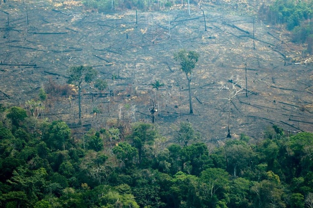 Amazon ormanlarında 14 yıl sonra en büyük kayıp: Haziran ayında rekor alan kül oldu - 3