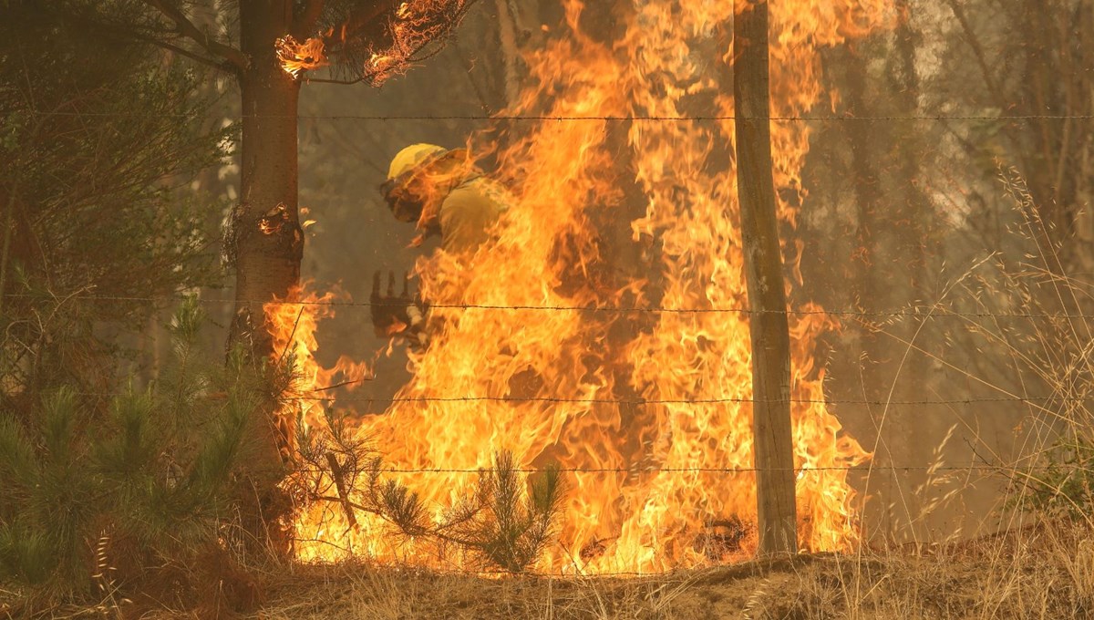 Şili'de orman yangını: 23 ölü, 979 yaralı