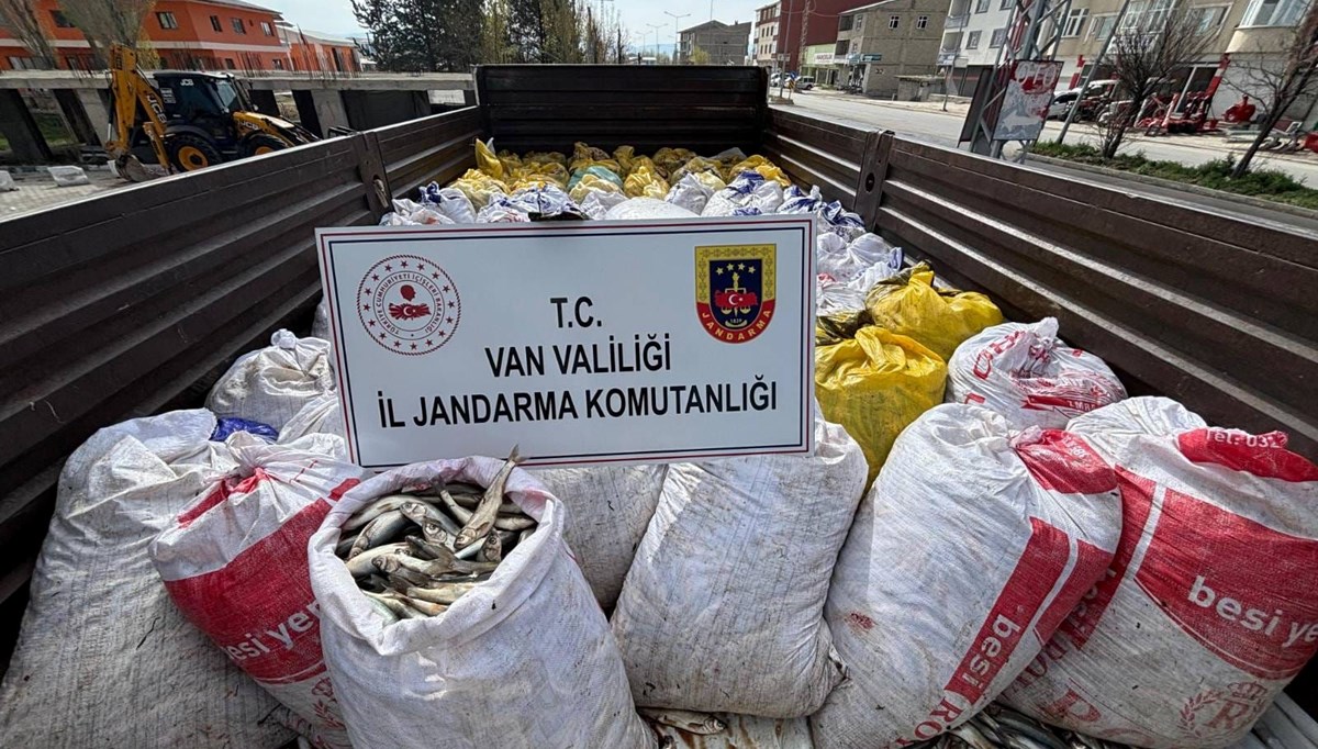 Kaçak inci kefali avlayan 15 kişiye ceza Kaçak inci kefali avlayan 15 kişiye ceza