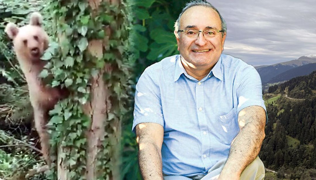Boz ayı ünlü meteoroloji profesörünün peşini bırakmıyor - Vimarsana News