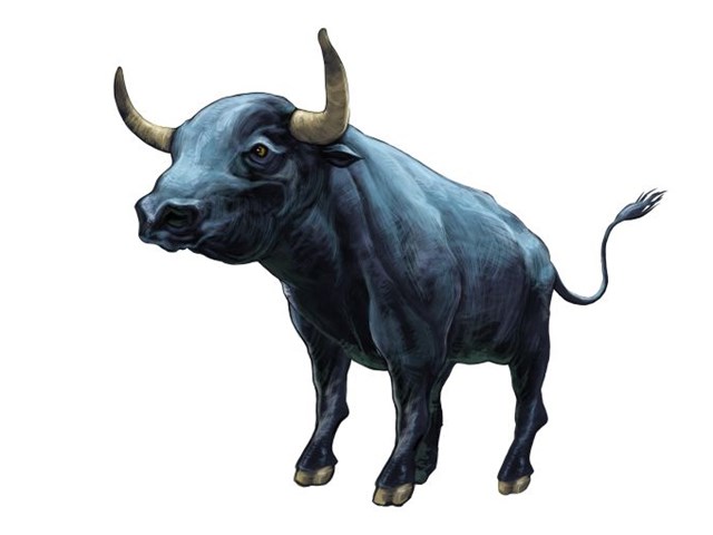 dogum yiliniza gore cin burcu nuz magazin haberleri ntv