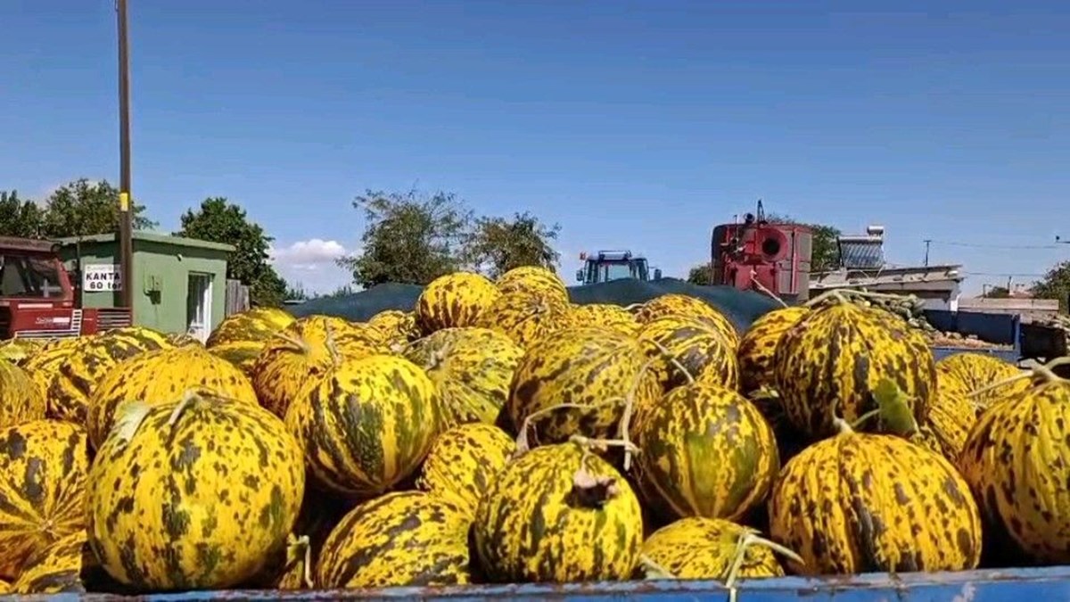 HXTpUwNJHUqa1voU-4xJFA.jpg