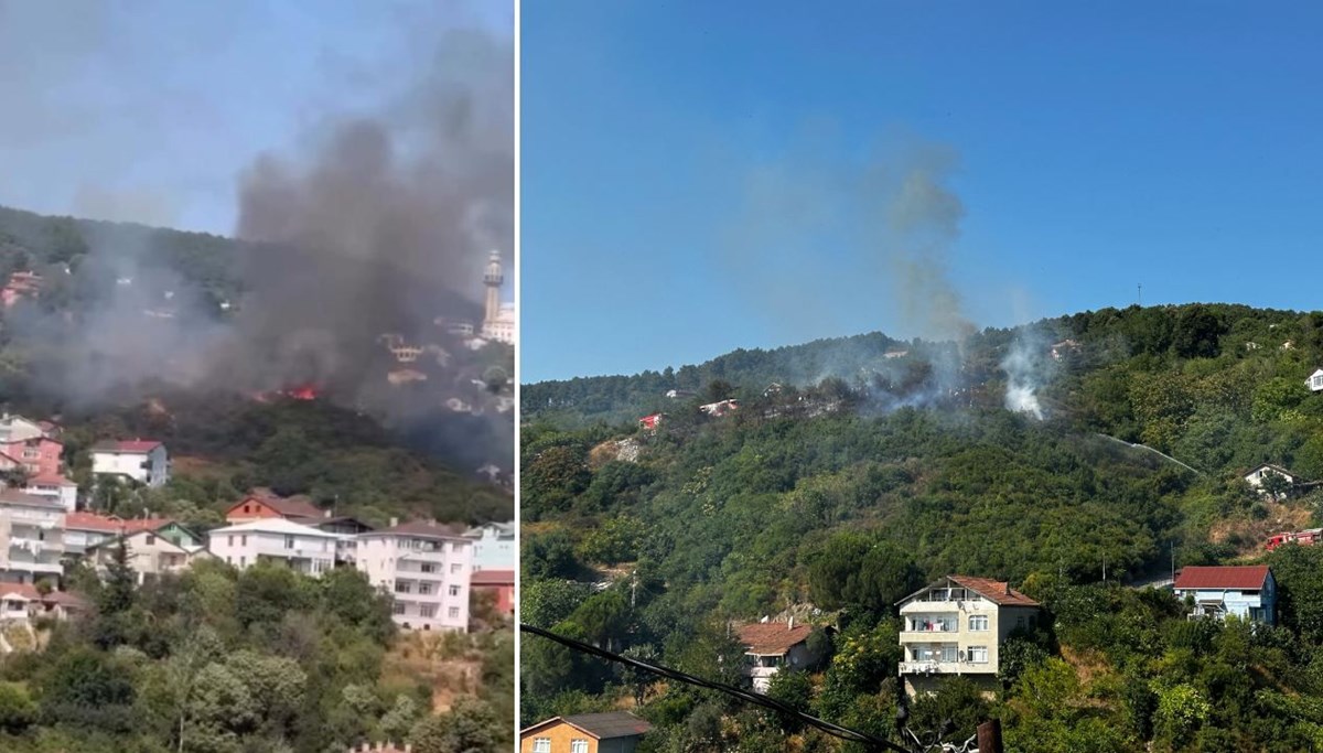 Beykoz'da orman yangını