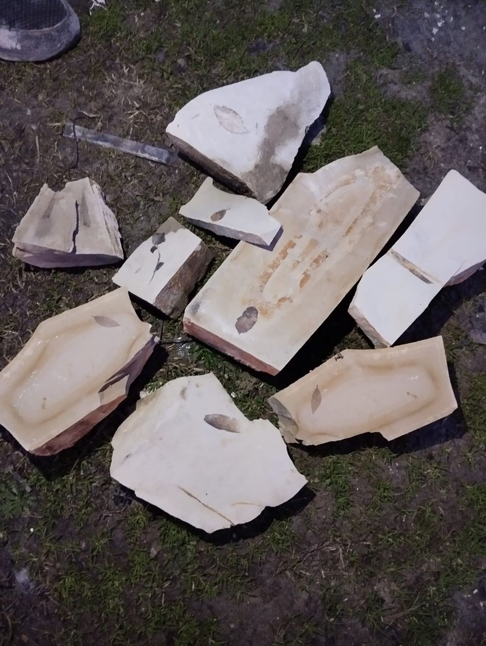 Kuşadası'nda gizemli keşif:15 milyon yıllık yaprak fosili bulundu 75 HYoS0MY4zECXdVVtpWLLyA