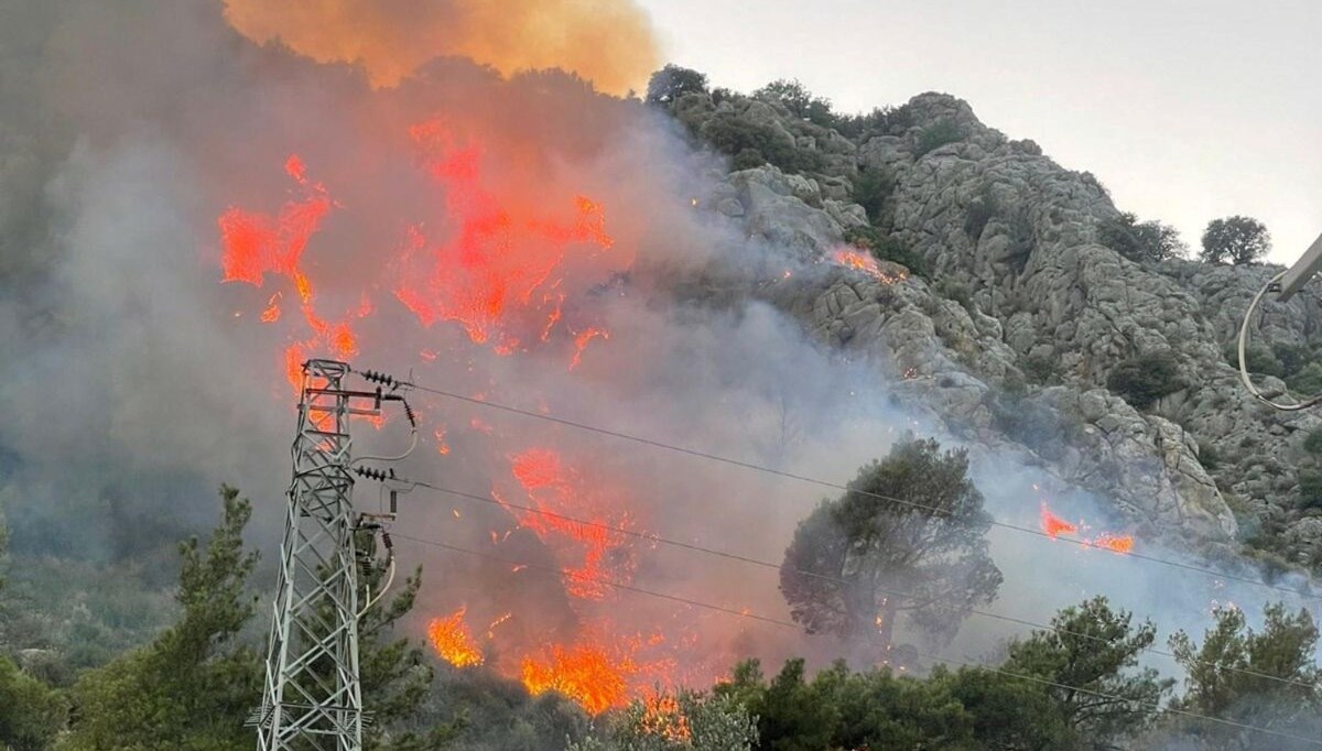 9 hektar ormanı yakan sigara izmaritini atan kişi tutuklandı