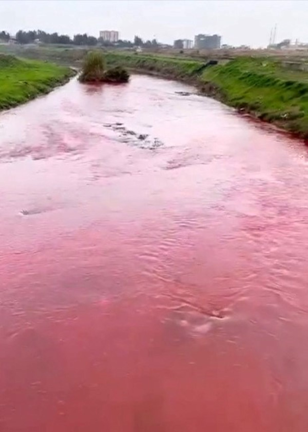 Kırmızı akan Berdan Nehri normale döndü