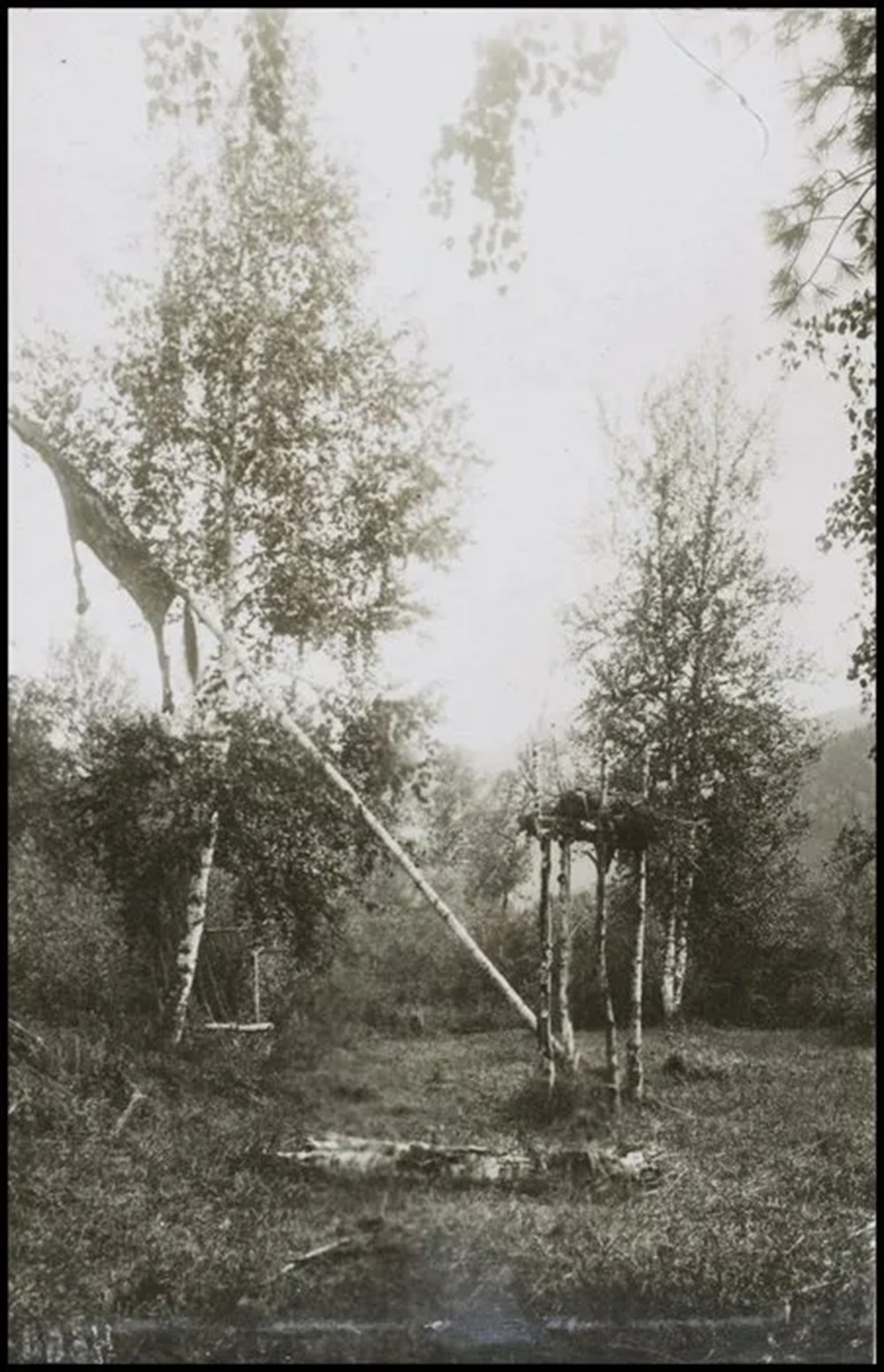 Bilim kurgu değil Türk boylarının 111 yıllık fotoğrafları. Gizemli heykeller, gelişmiş aletler, tanıdık kıyafetler (106 fotoğrafla gizemli Türk tarihi) - 79