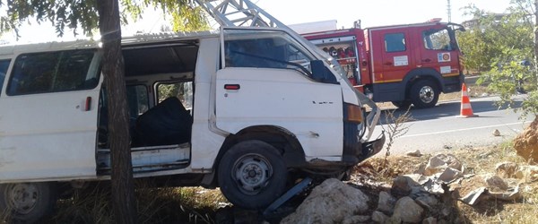 Arıların saldırısına uğrayan sürücü kaza yaptı: 5'i ağır 8 yaralı