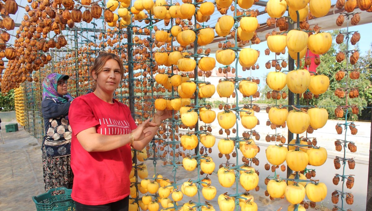 8 yıl önce balkonuna ekti, şimdi dünyaya satılıyor: İlçenin gelir kaynağı oldu