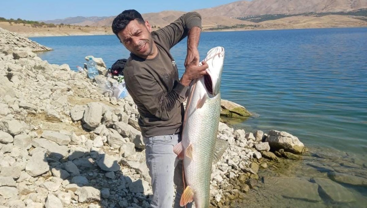Keban Baraj'ında yakaladı: Tam 22 kilo ağırlığında Keban Baraj'ında yakaladı: Tam 22 kilo ağırlığında
