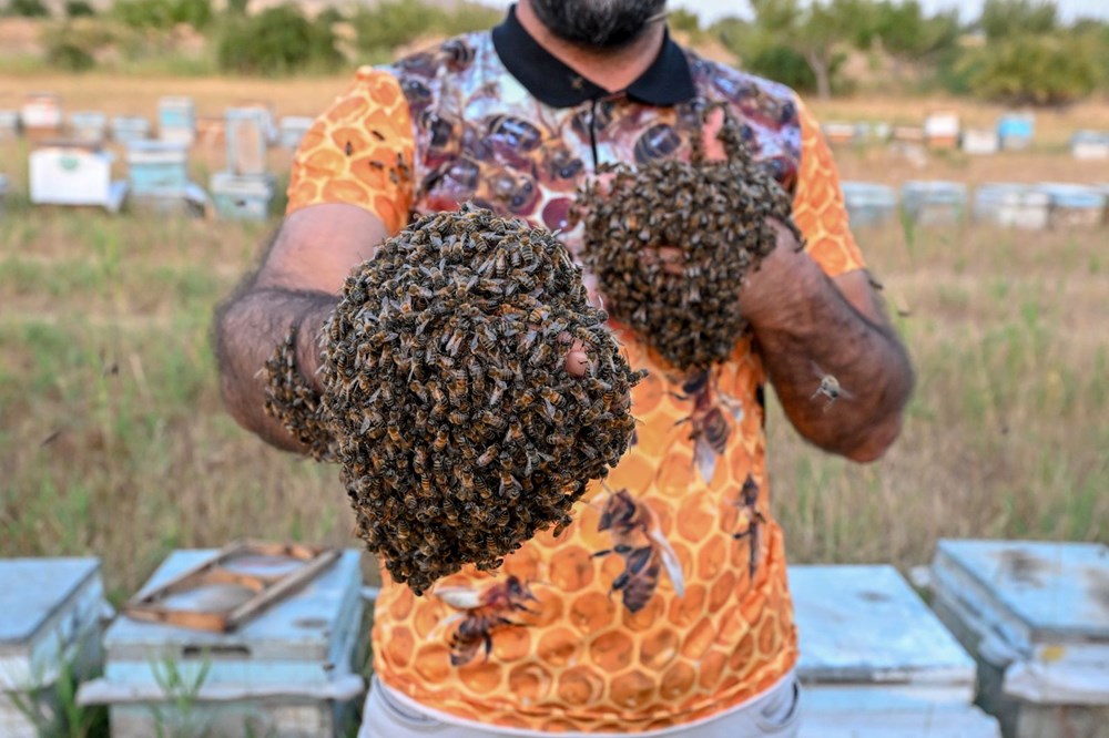 "Arı Adam"ın Guinness Rekorlar Kitabı hayaline ramak kaldı - 9