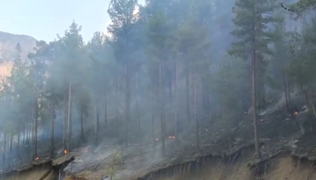 Adana'da orman yangını